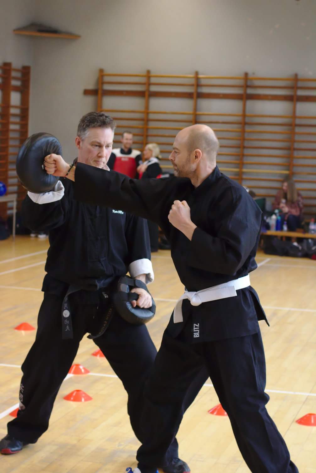 punching techniques at kung fu training in norwich