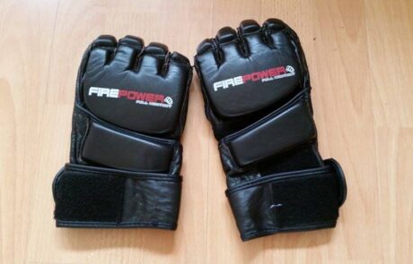 Fusion Kung Fu sparring mitts black