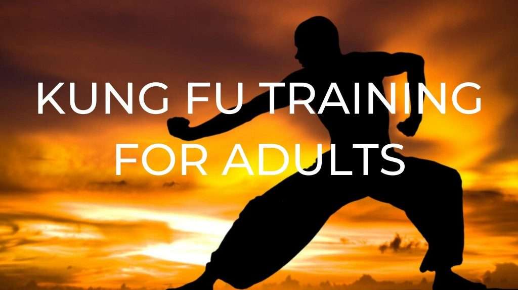 Kung Fu Training for Adults